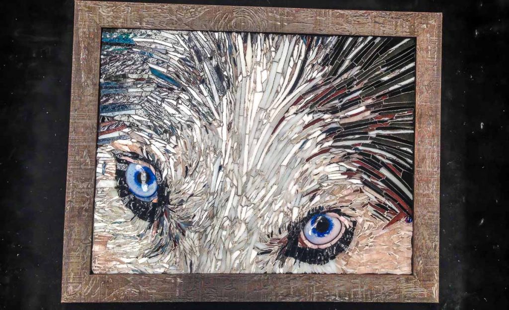 Husky Eyes. Susan Woenne-Green's second commission